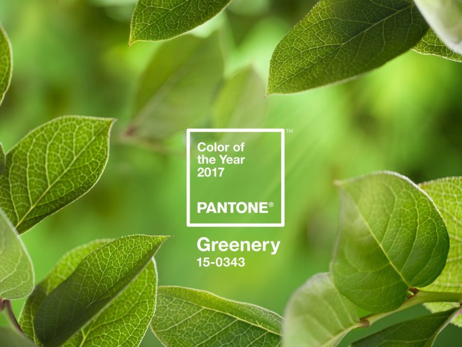 Color of the Year: Greenery