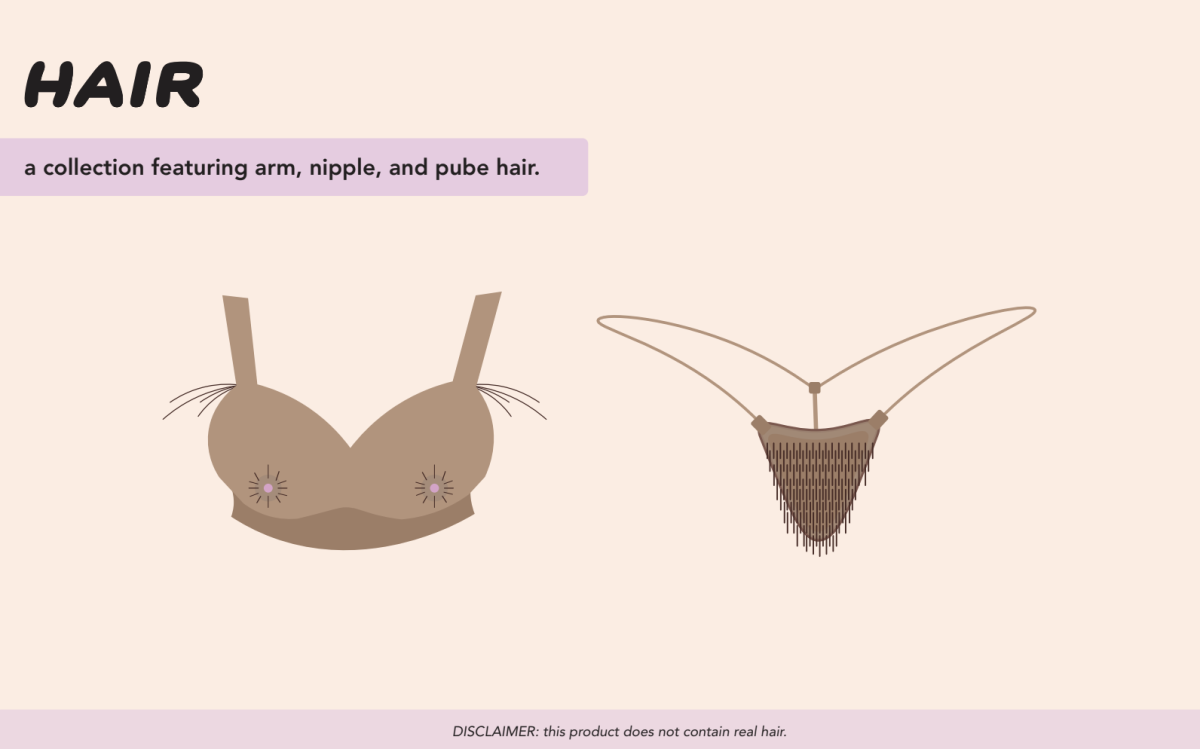 Illustrator: Paige Powell